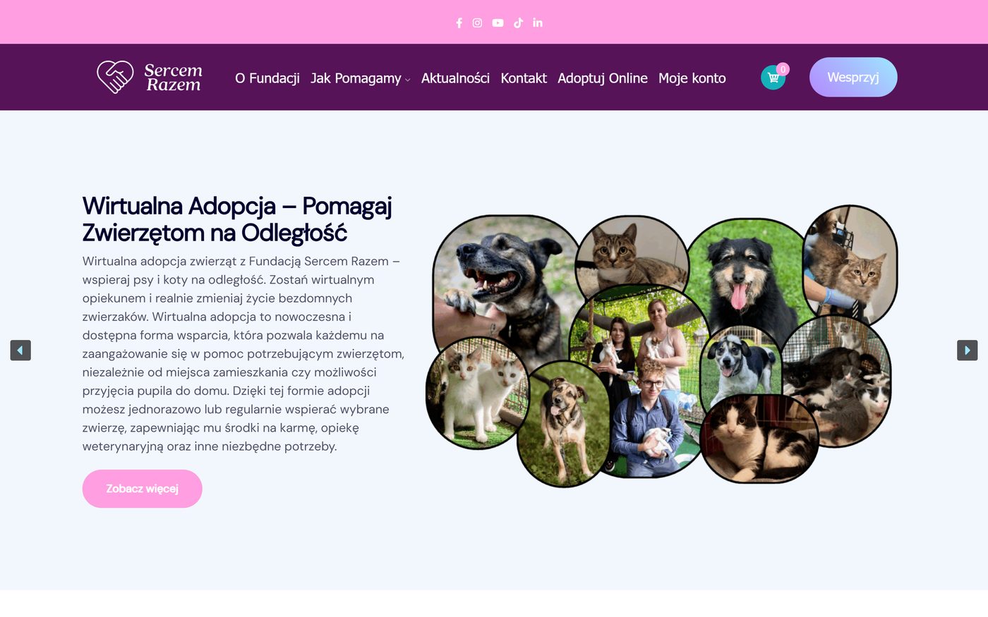 Fundacja Sercem Razem — website preview