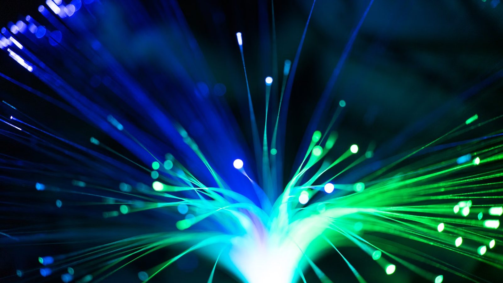 Bundle of optical fibres in coloured light
