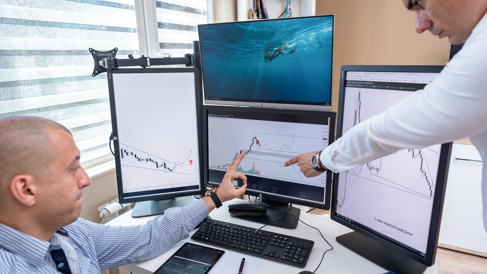 Two people analysing charts on monitors